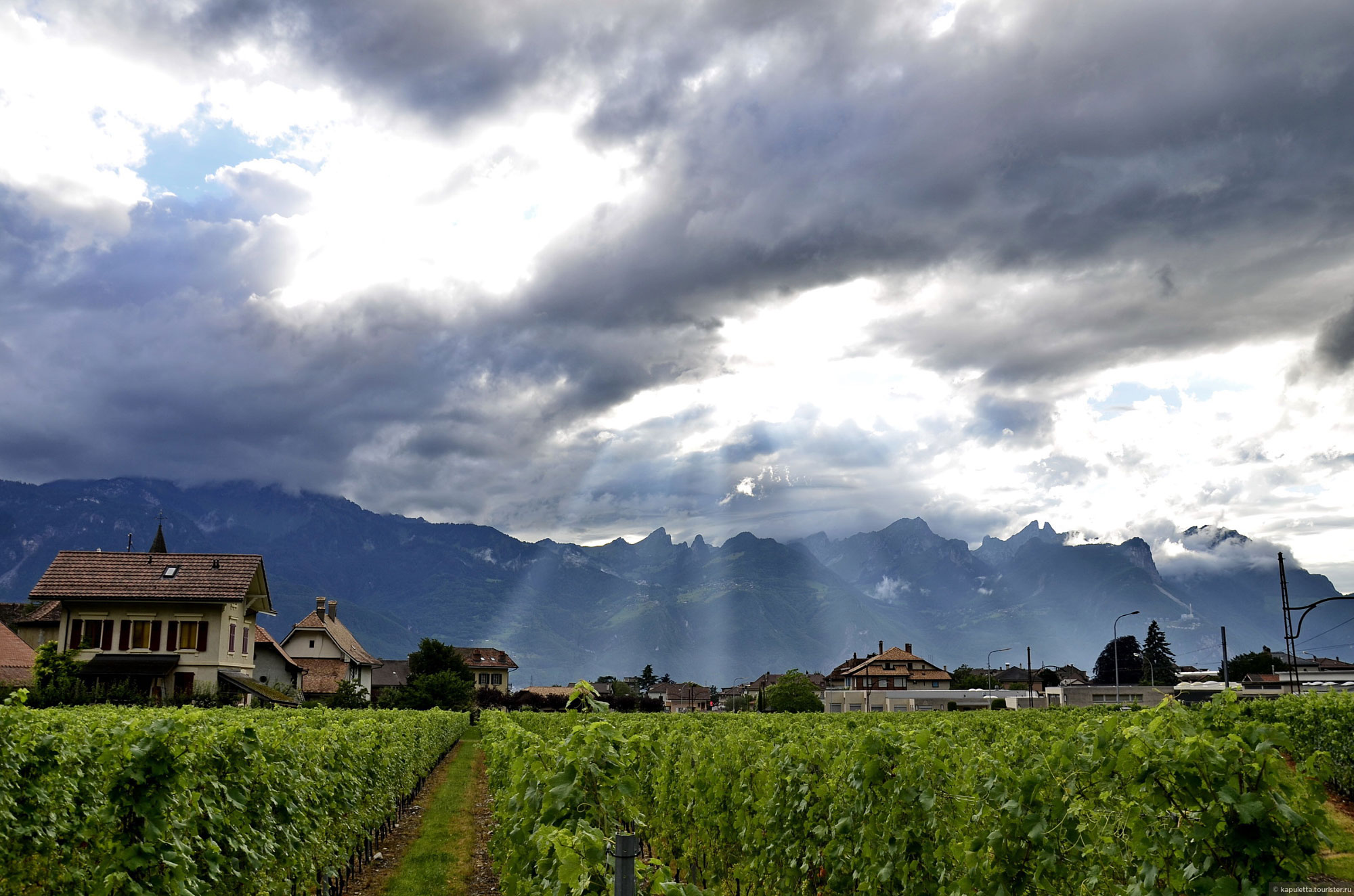 Aigle
